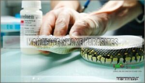 managing snake parasites