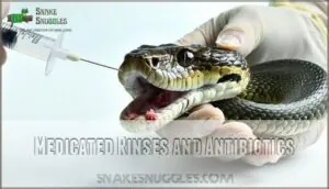 medicated rinses and antibiotics medicated rinses and antibiotics