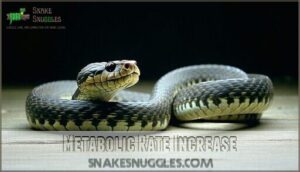 metabolic rate increase
