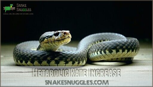 How Long After Feeding Handle Snake Safely?