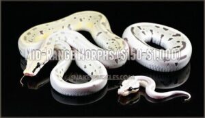 mid-range morphs ($150-$1,000)