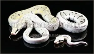 mid-range morphs ($150-$1,000) mid-range morphs ($150-$1,000)