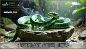 misting and water bowls