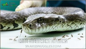 mite treatment options