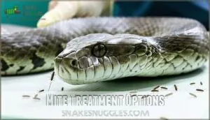 mite treatment options mite treatment options