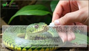 moist q-tip or petroleum jelly application