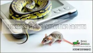 monitoring food intake and growth