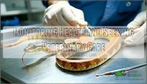 monitoring health and seeking veterinary care monitoring health and seeking veterinary care