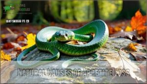 natural causes of appetite loss