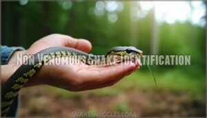 non venomous snake identification
