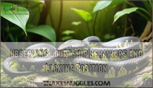 observing courtship behaviors and locking position