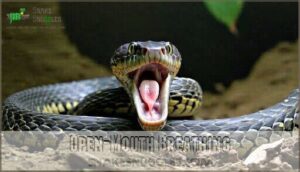 open-mouth breathing