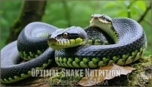 optimal snake nutrition