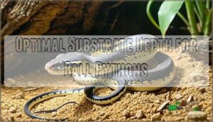 optimal substrate depth for ball pythons