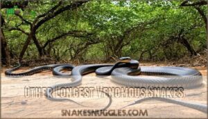 other longest venomous snakes