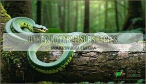 other notable subspecies