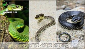other rare snake species