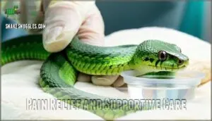 pain relief and supportive care pain relief and supportive care