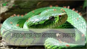 parasites and shedding issues