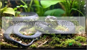 parasitic infections and diarrhea