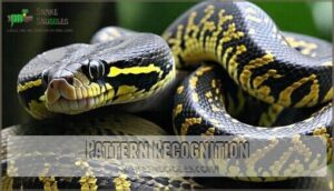 pattern recognition