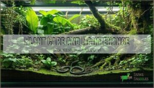 plant care and maintenance