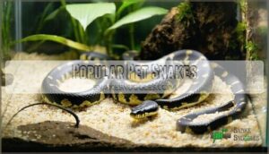 popular pet snakes