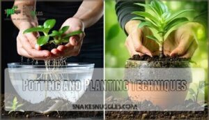 potting and planting techniques