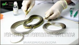 pre-breeding preparation essentials