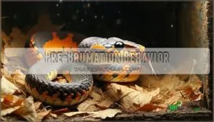 pre-brumation behavior pre-brumation behavior