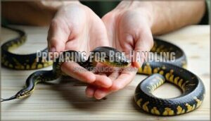 preparing for boa handling