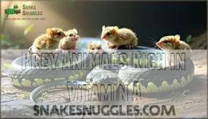 prey animals rich in vitamin a prey animals rich in vitamin a