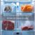 View of Proper Thawing Frozen Snake Food: Safe Methods and Common Mistakes