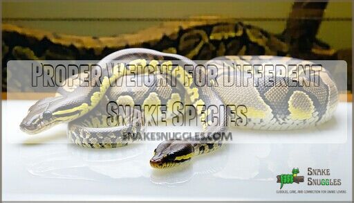 Best Snake Species for Breeding: Top 10 Choices for Success (2025)