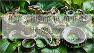 pros and cons of popular pet snakes