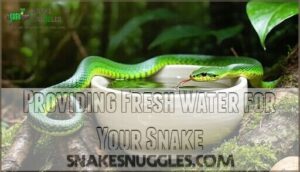 providing fresh water for your snake