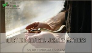 quiet and natural lighting settings