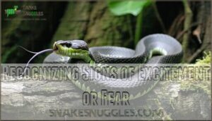 recognizing signs of excitement or fear