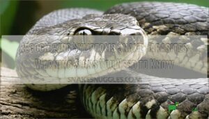 recognizing symptoms snake parasites