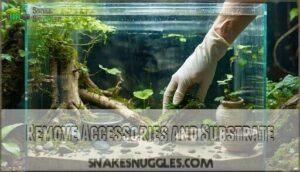 remove accessories and substrate