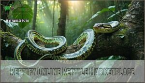 reptify online reptile marketplace