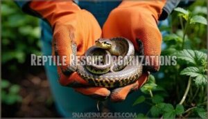 reptile rescue organizations