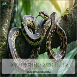 reputable breeders and sellers