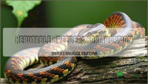 reputable breeders for adoption