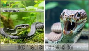 risk factors for mouth rot