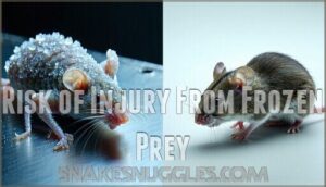 risk of injury from frozen prey