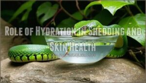 role of hydration in shedding and skin health