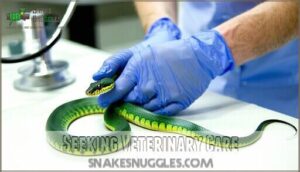 seeking veterinary care