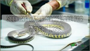 seeking veterinary care for weight loss