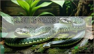 selecting snakes free from disease or injury